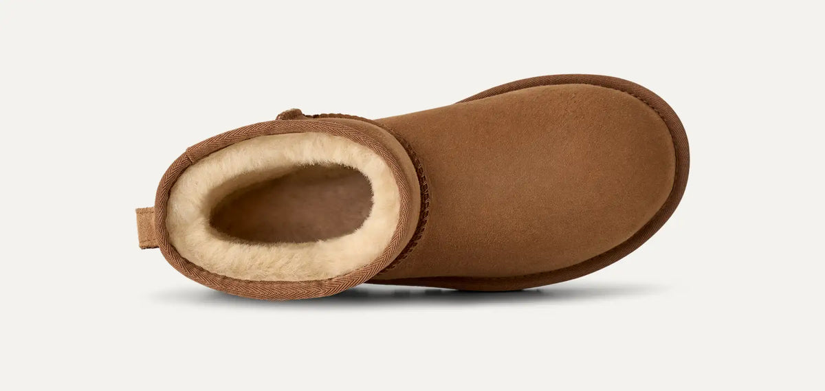 UGG Classic Mini II Women's Boots in Chestnut