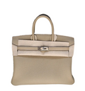 Hermes Birkin 25 Pelle – Accessorio premium elegante