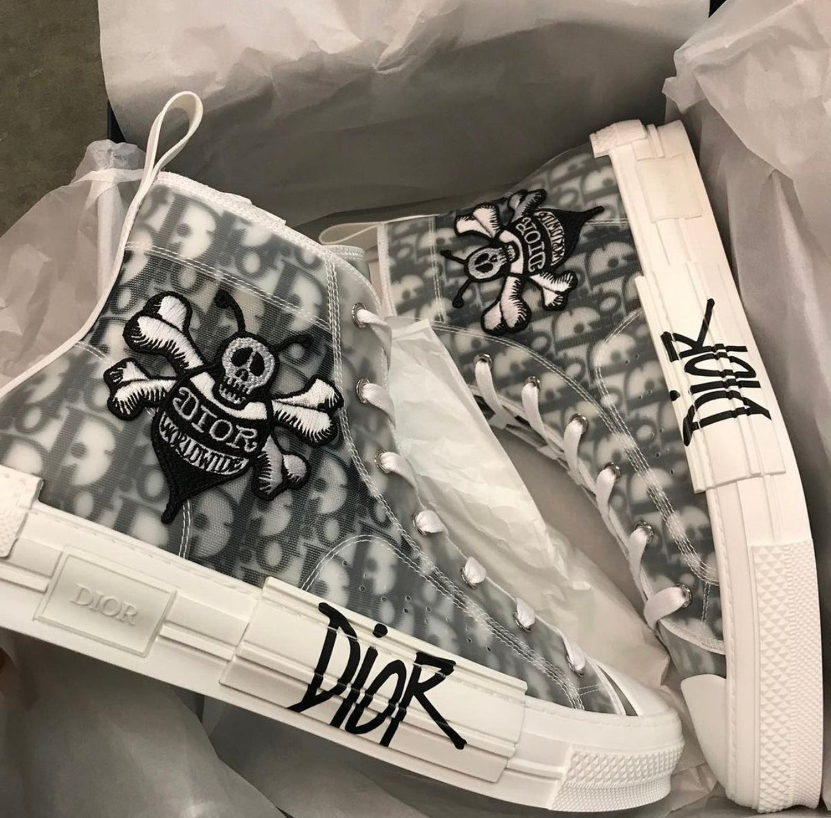 DIOR B23