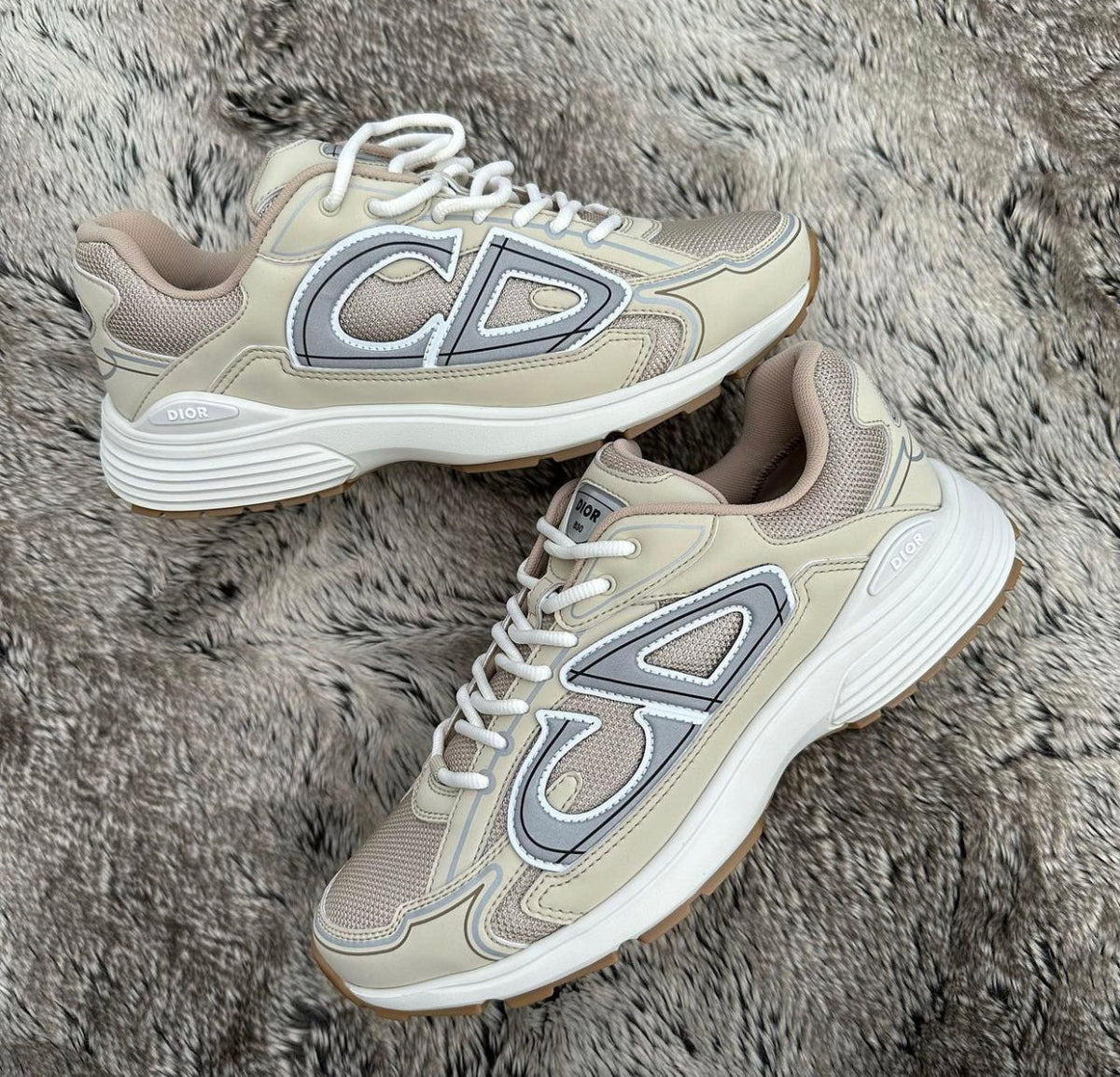 DIOR B30