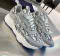 DIOR B22
