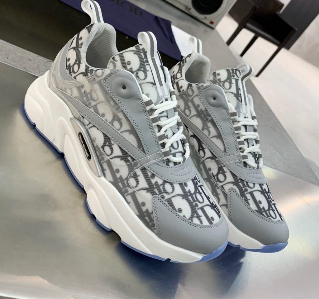DIOR B22
