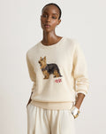 Maglia a intarsi con Yorkshire terrier — Crema mascarpone multicolore
